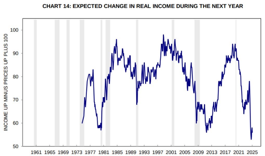Expected change in real income during the next year